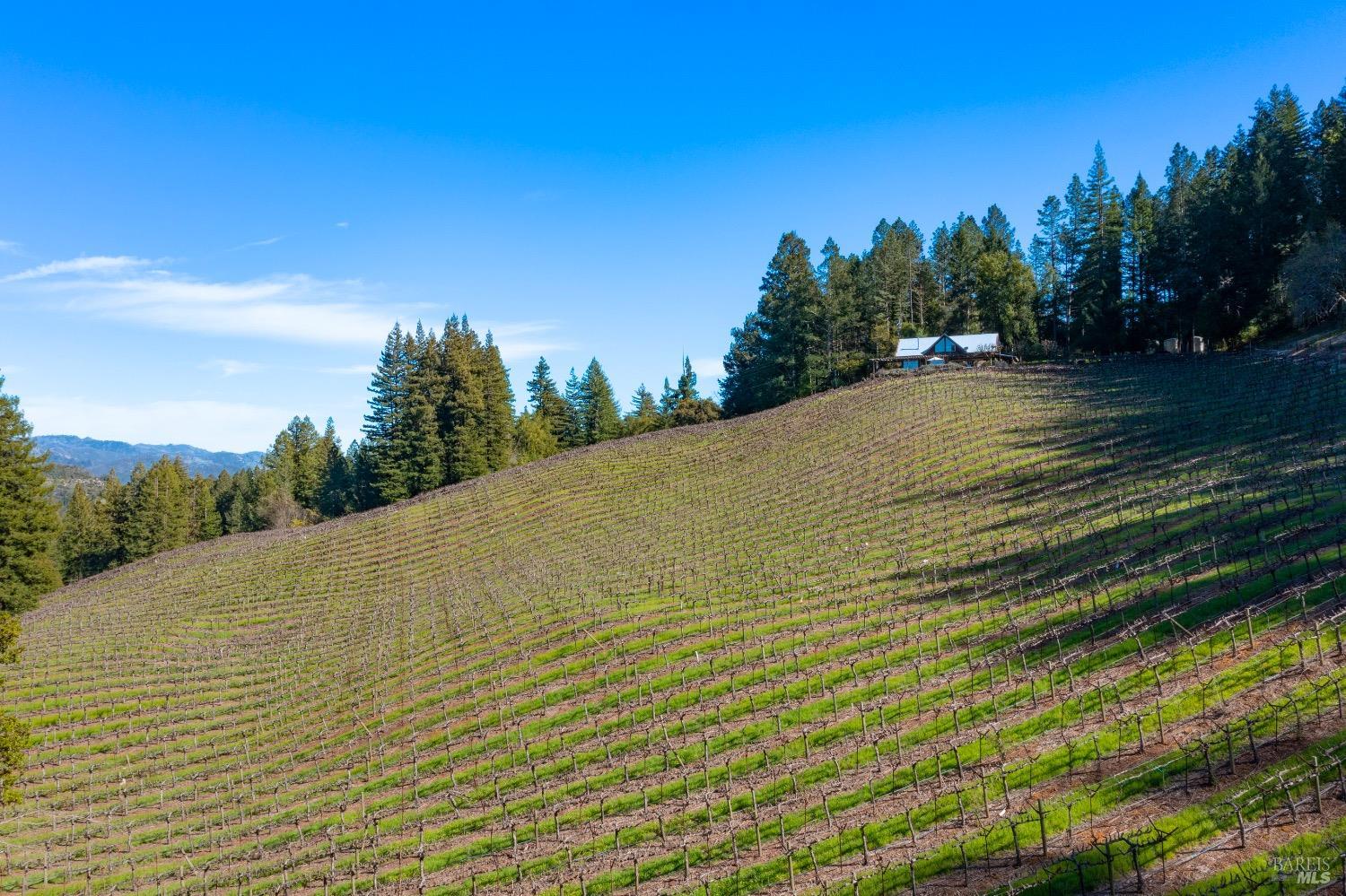 18276 Highway 128 Calistoga CA 94515