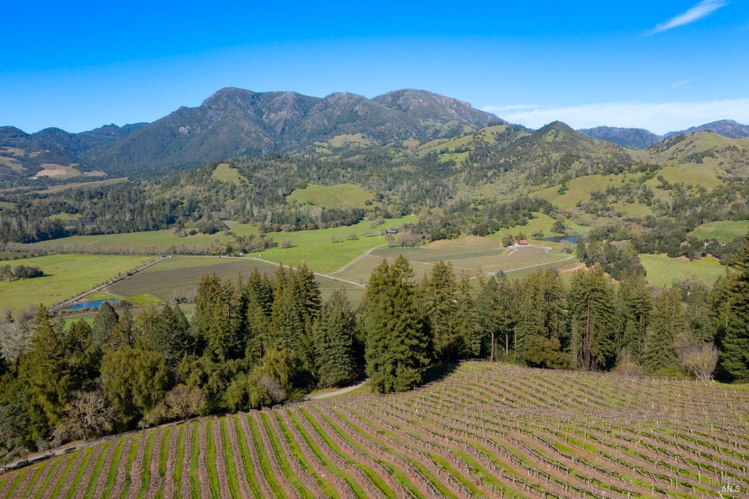18276 Highway 128 Calistoga CA 94515