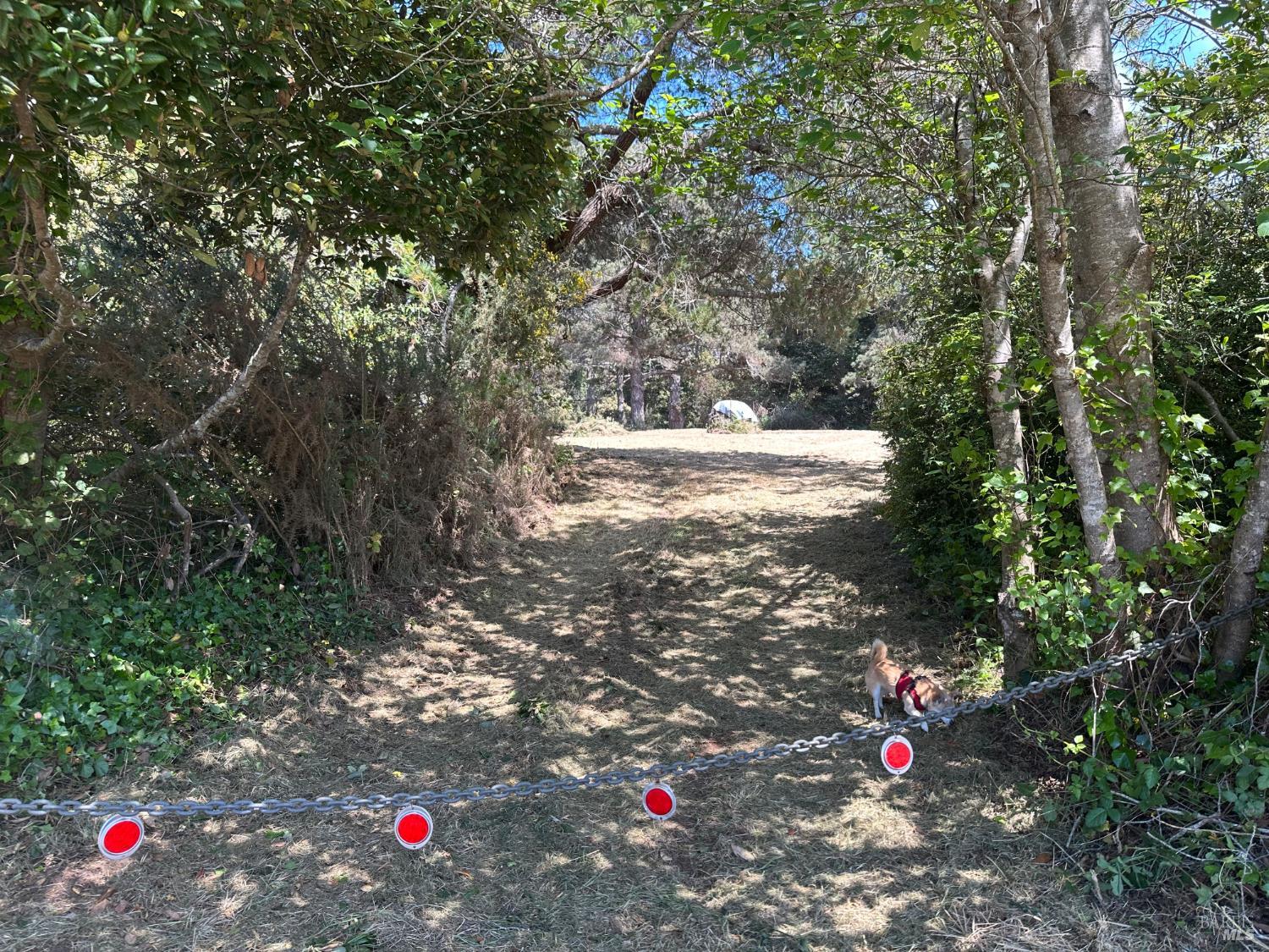 0 Pine Drive Fort Bragg CA 95437