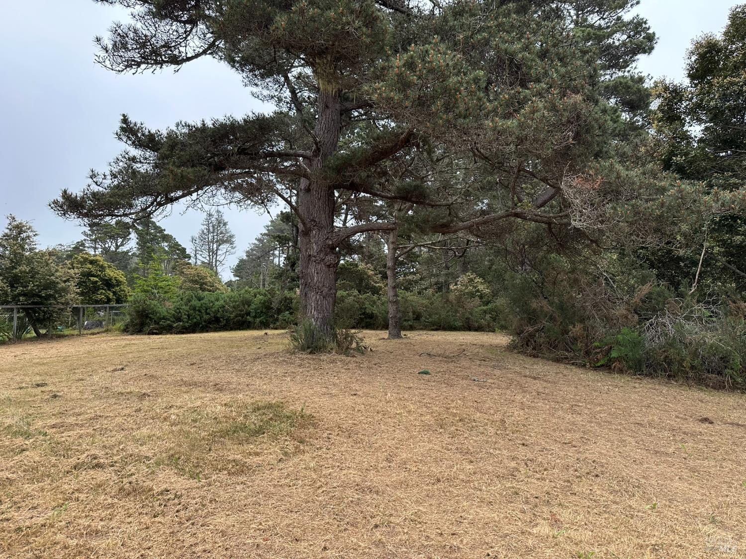 0 Pine Drive Fort Bragg CA 95437