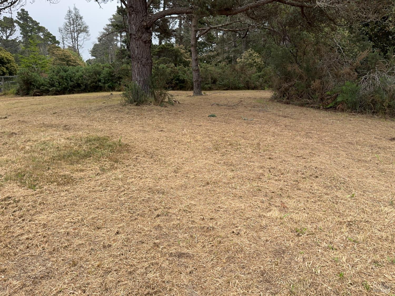 0 Pine Drive Fort Bragg CA 95437
