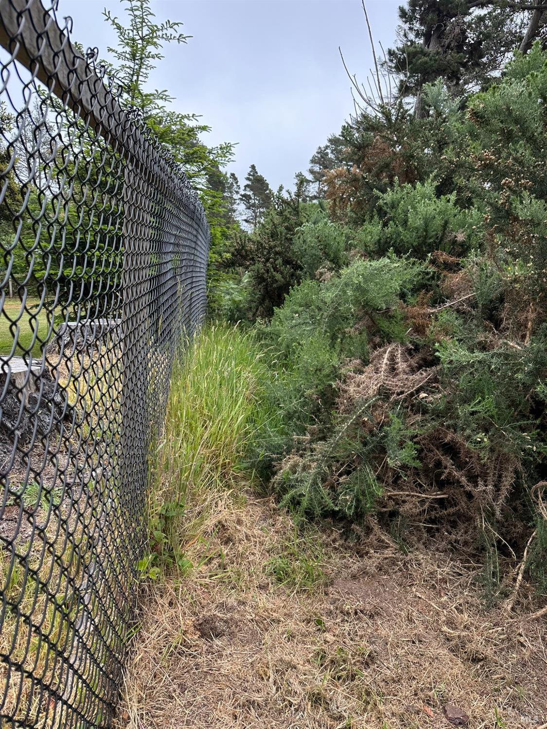 0 Pine Drive Fort Bragg CA 95437