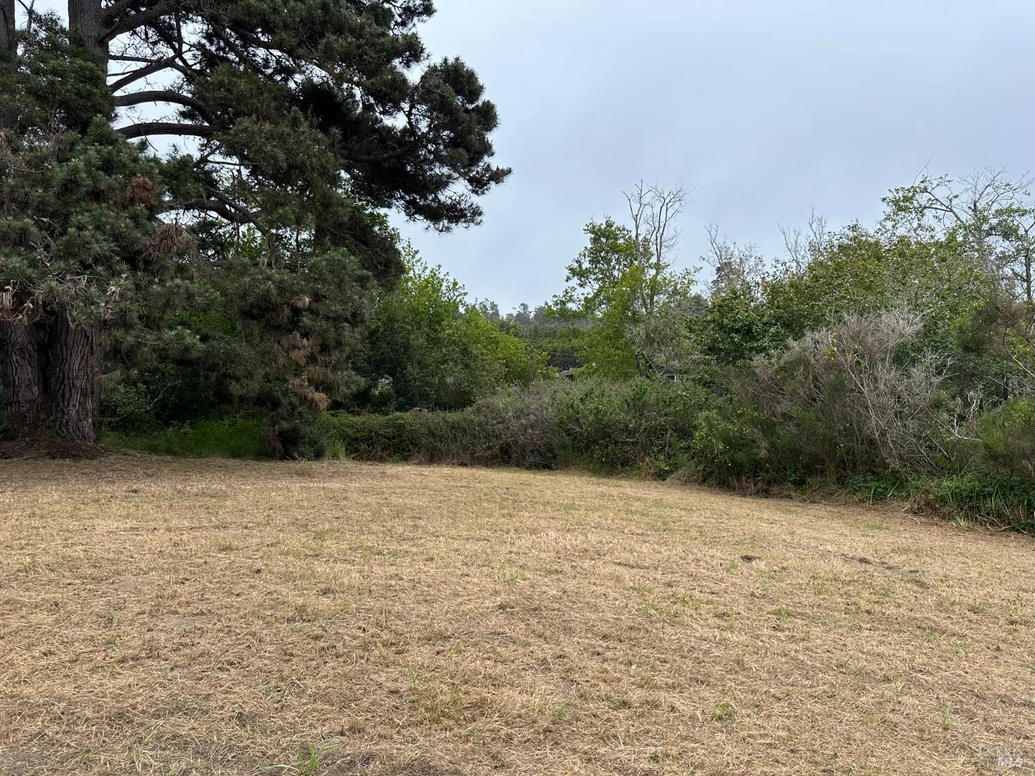 0 Pine Drive Fort Bragg CA 95437