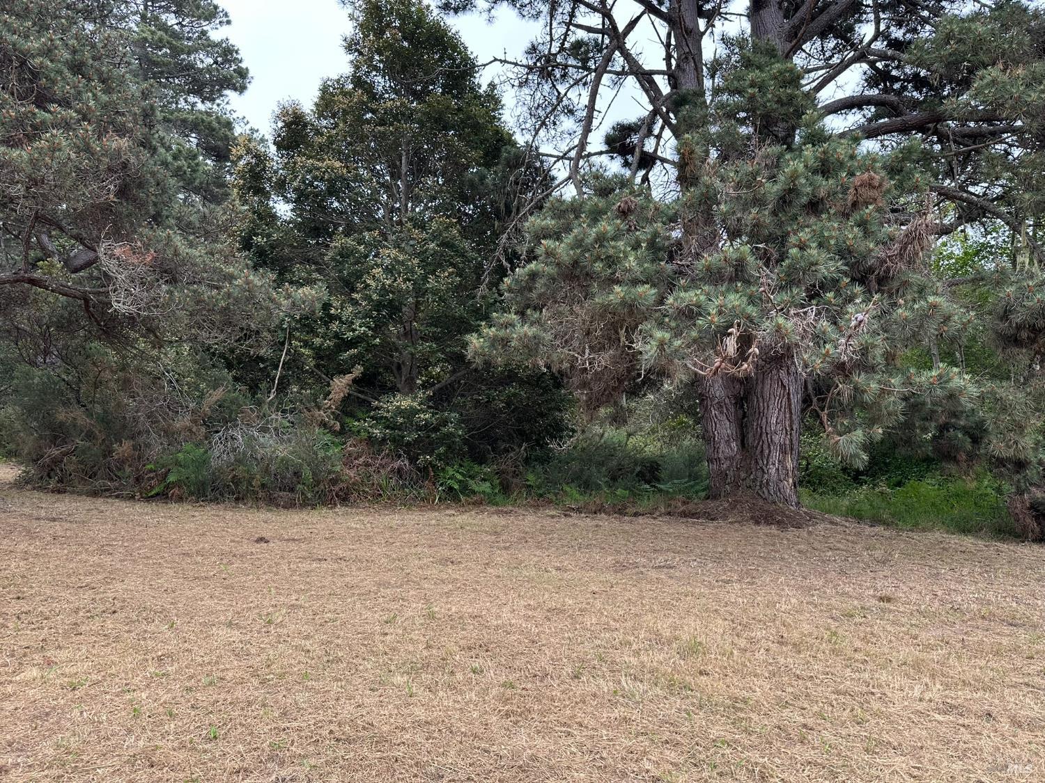 0 Pine Drive Fort Bragg CA 95437
