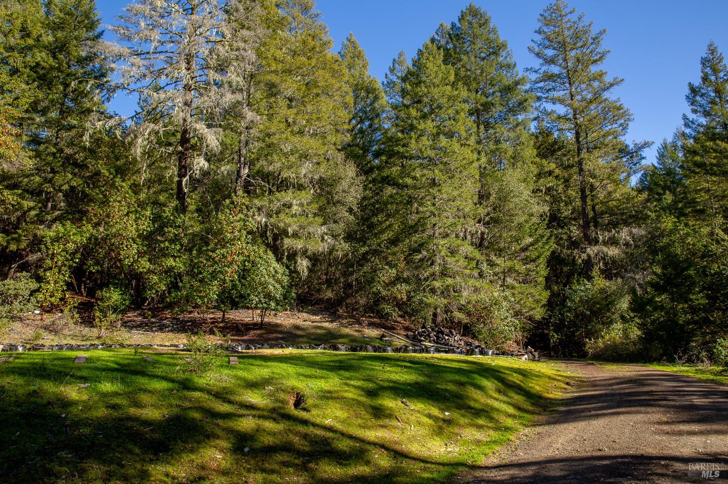 40643 Covelo Road Willits CA 95490