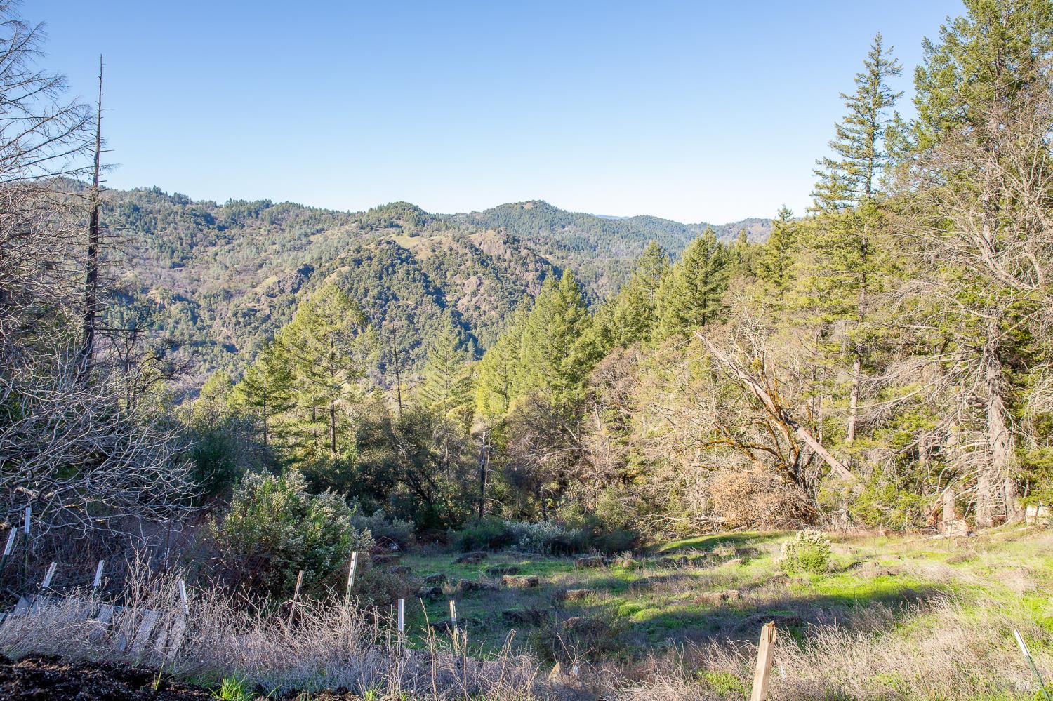 40643 Covelo Road Willits CA 95490