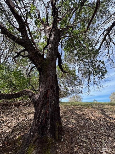 0 East Side Road Willits CA 95490