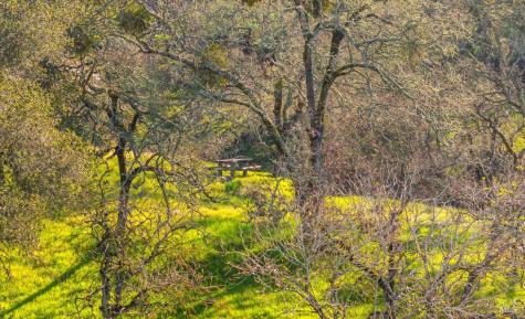 1477 Leslie Road Healdsburg CA 95448