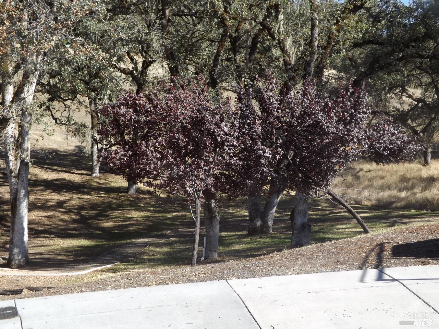 2521 Bartlett Court Ukiah CA 95482