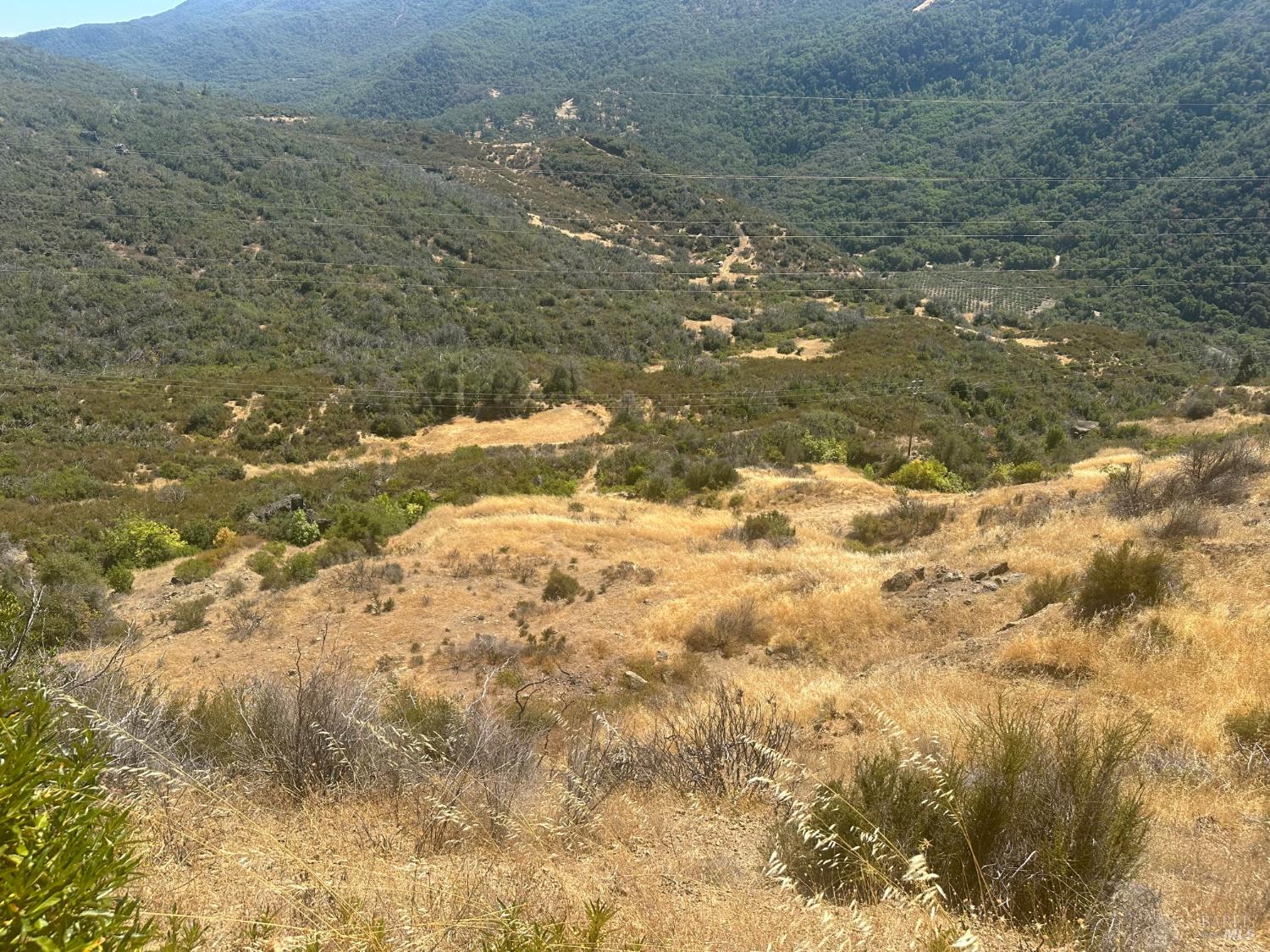 9200 E Side Potter Valley Road Potter Valley CA 95469