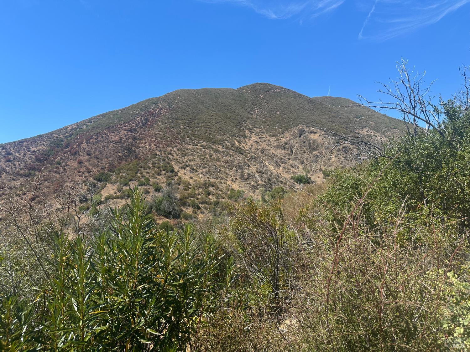 9200 E Side Potter Valley Road Potter Valley CA 95469
