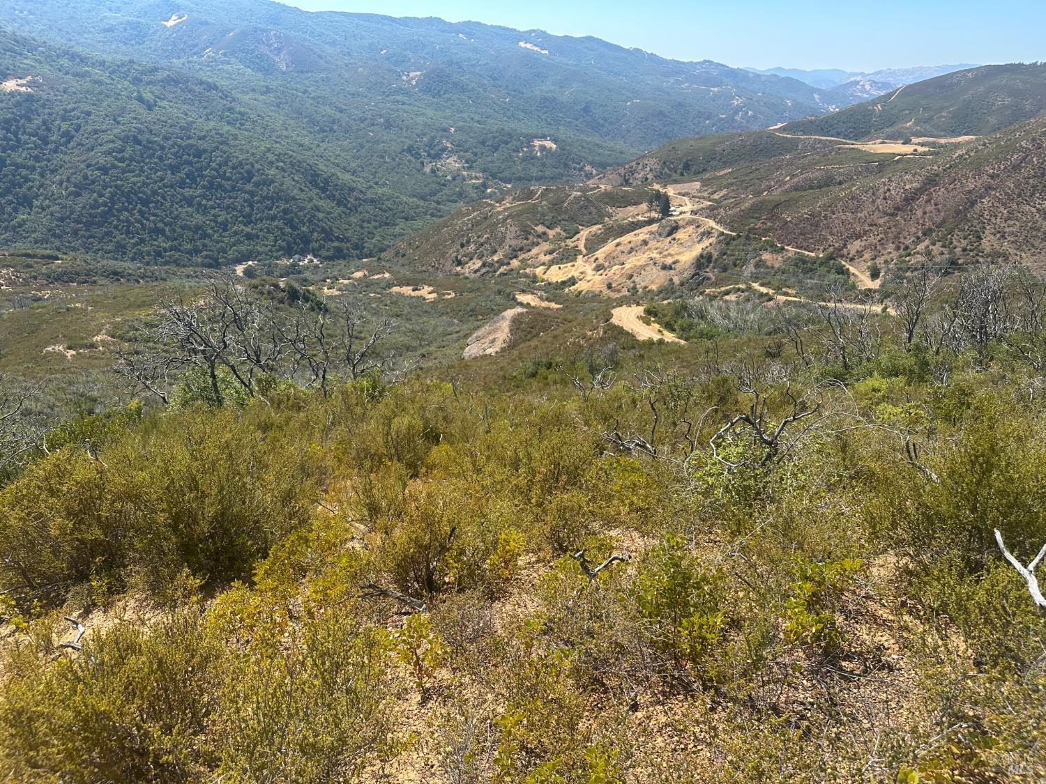 9200 E Side Potter Valley Road Potter Valley CA 95469