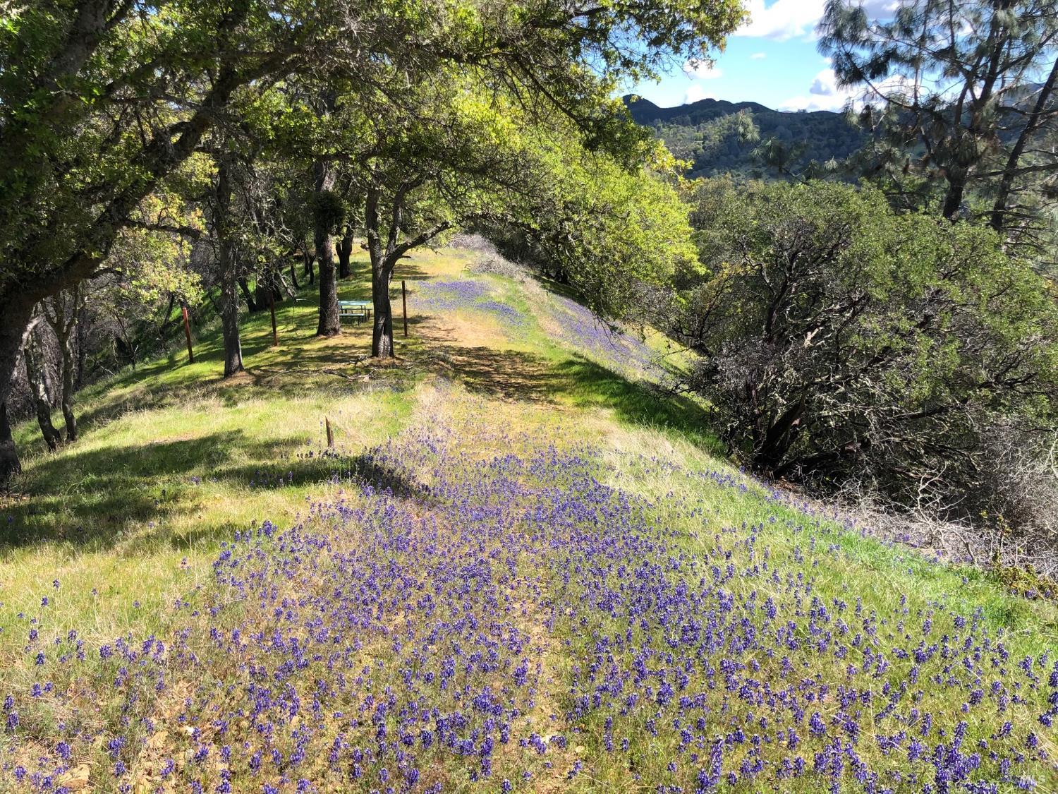 1320 Headlands Drive Napa CA 94558
