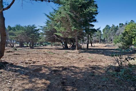 22070 Highway One Jenner CA 95450