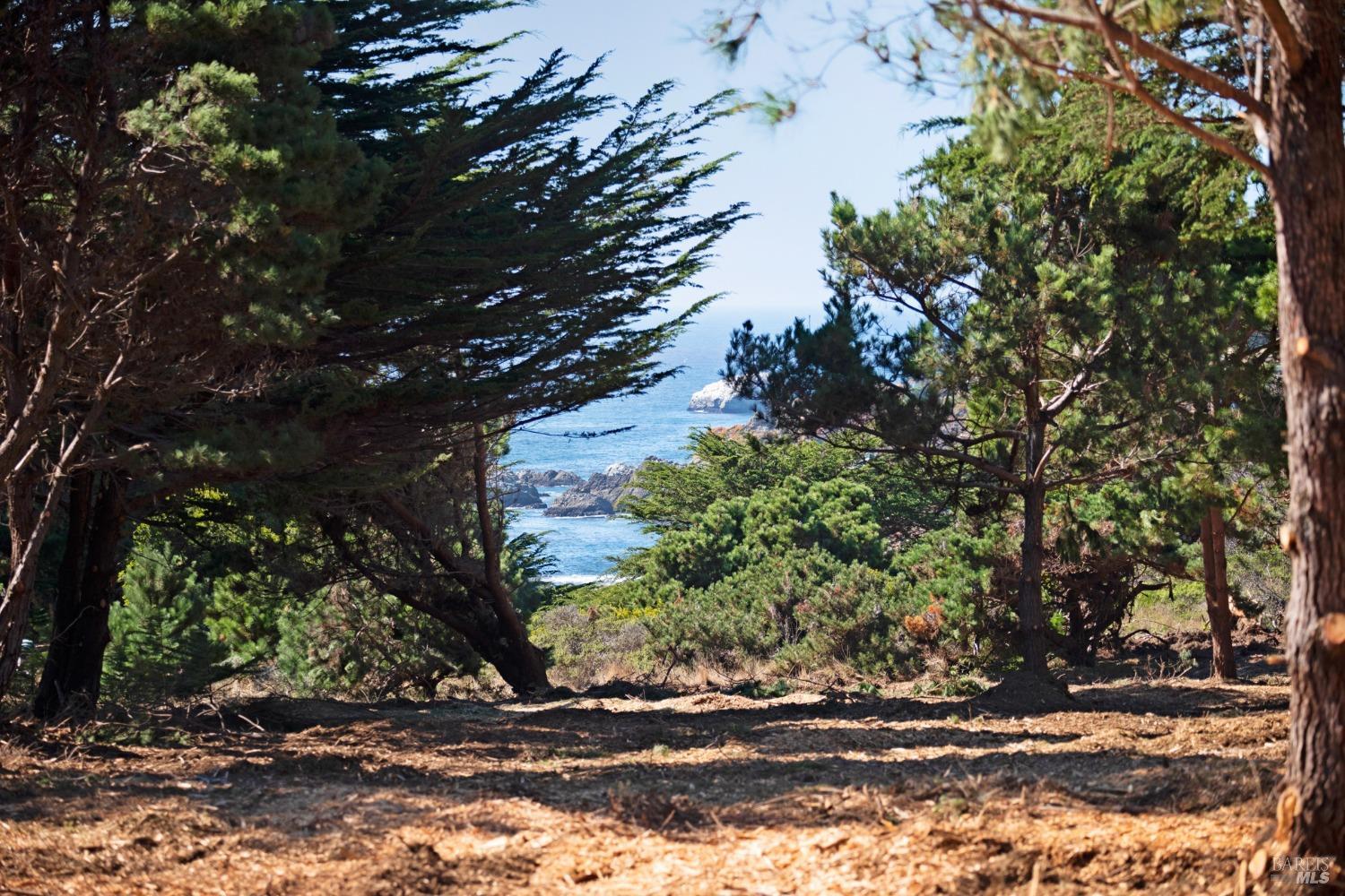 22070 Highway One Jenner CA 95450