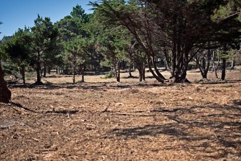 22070 Highway One Jenner CA 95450