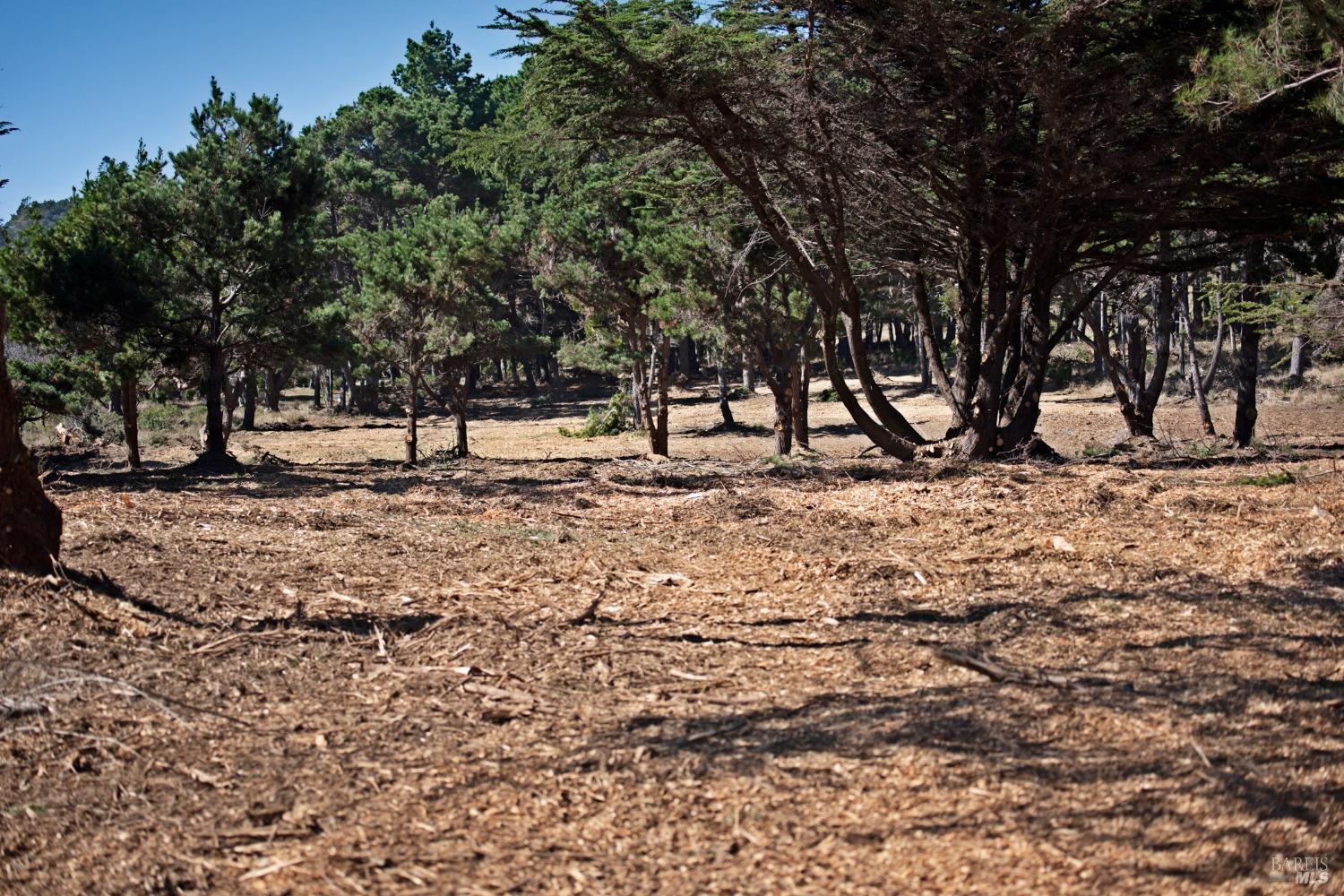 22070 Highway One Jenner CA 95450
