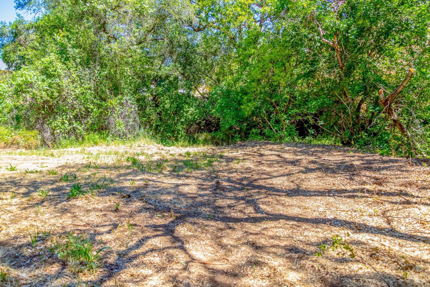 0 University Street Cloverdale CA 95425