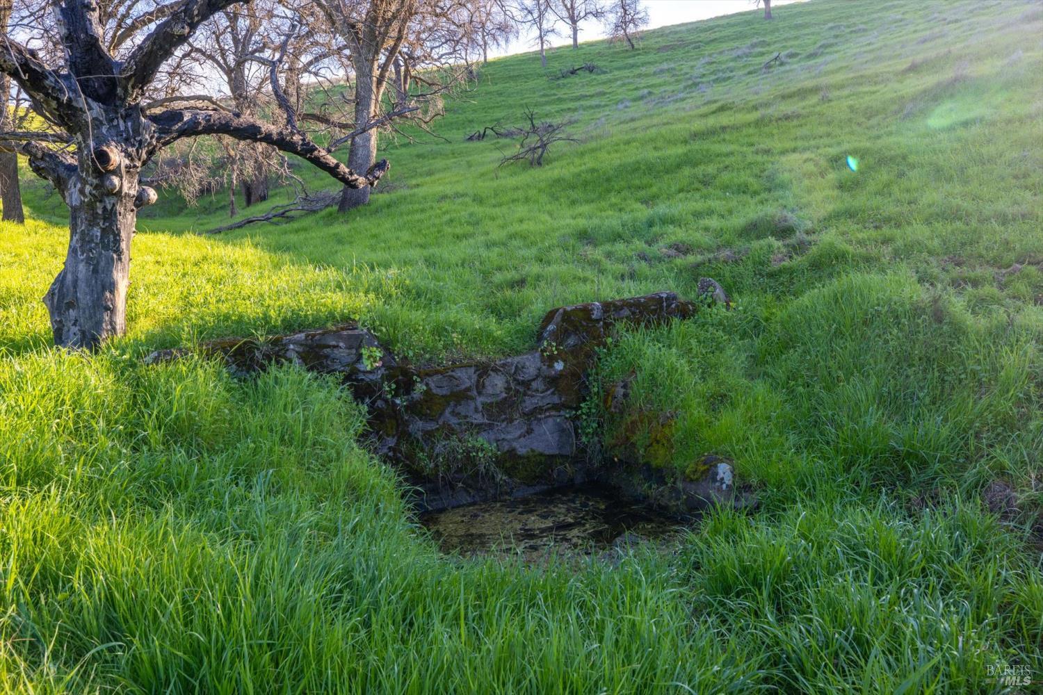 7094 Bucktown Lane Vacaville CA 95688