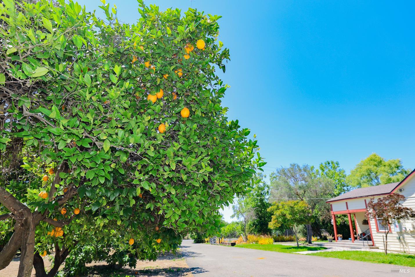 7948 N Meridian Road Dixon CA 95620