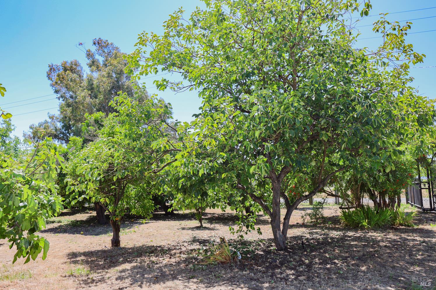 7948 N Meridian Road Dixon CA 95620