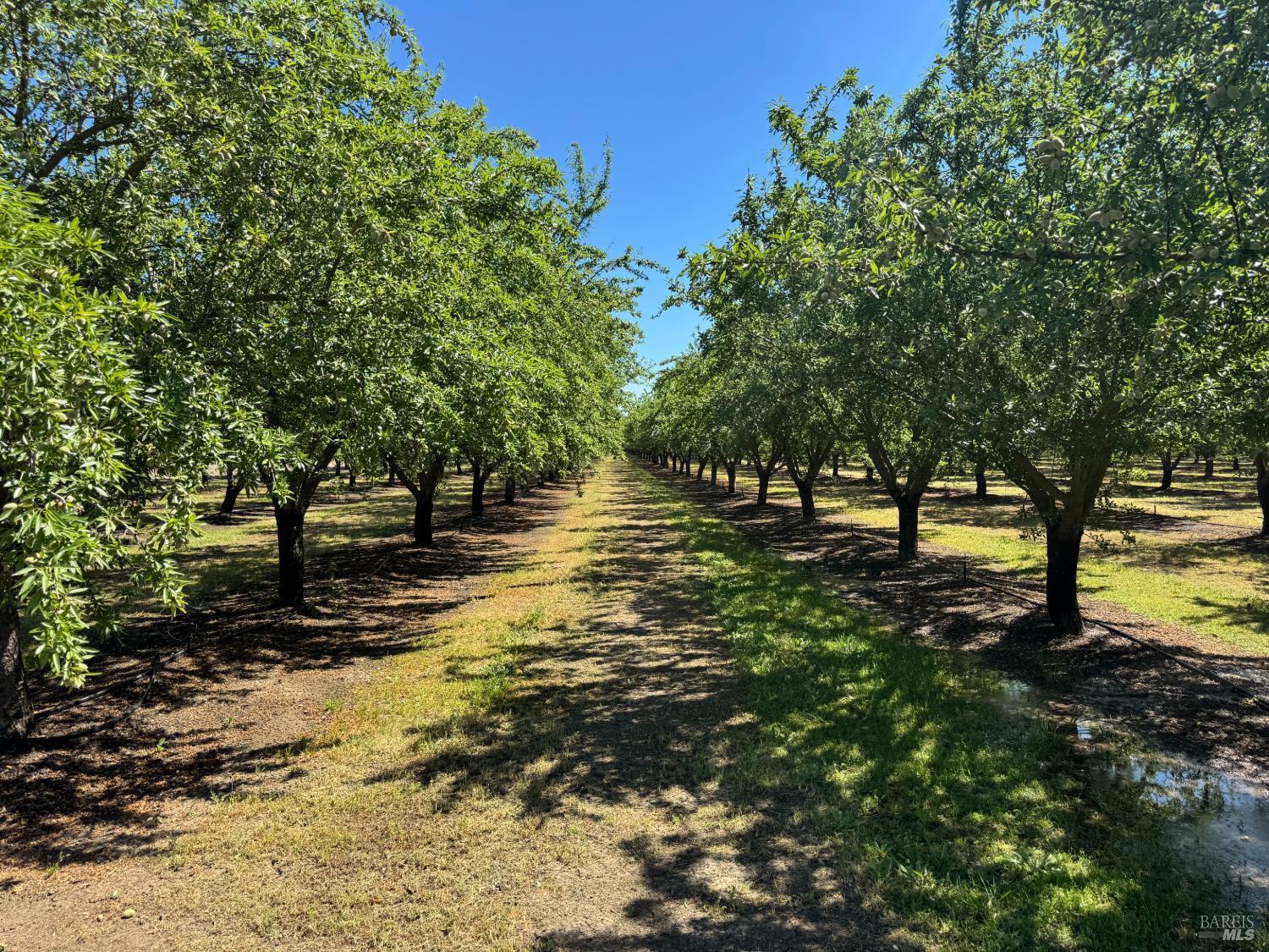 7948 N Meridian Road Dixon CA 95620