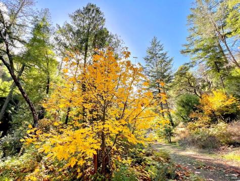 2095-2261 Mark West Springs Road Santa Rosa CA 95404