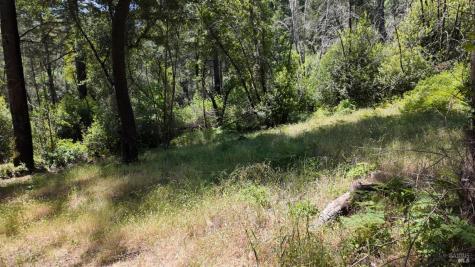 2095-2261 Mark West Springs Road Santa Rosa CA 95404