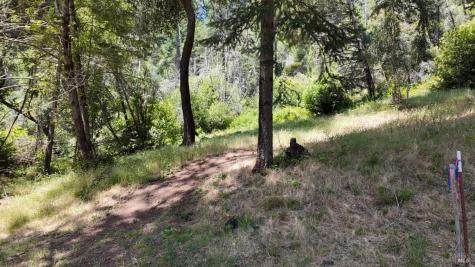 2095-2261 Mark West Springs Road Santa Rosa CA 95404