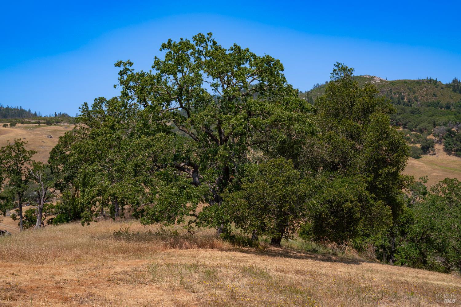 3550 Porter Creek Road Santa Rosa CA 95404