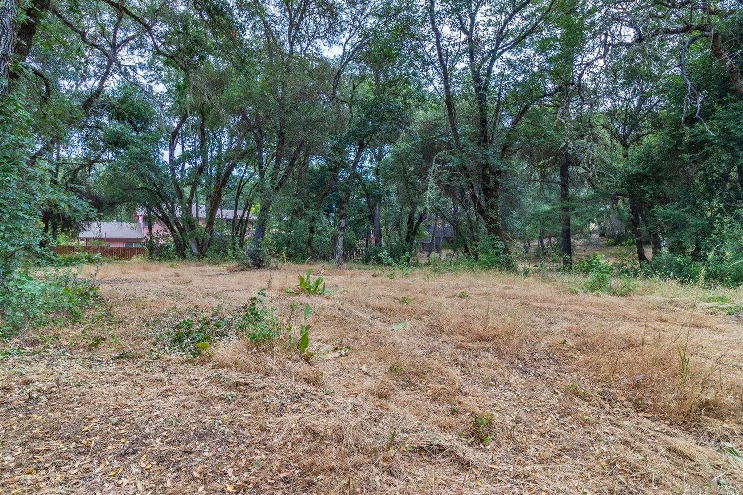 253 Forsythe Drive Redwood Valley CA 95470