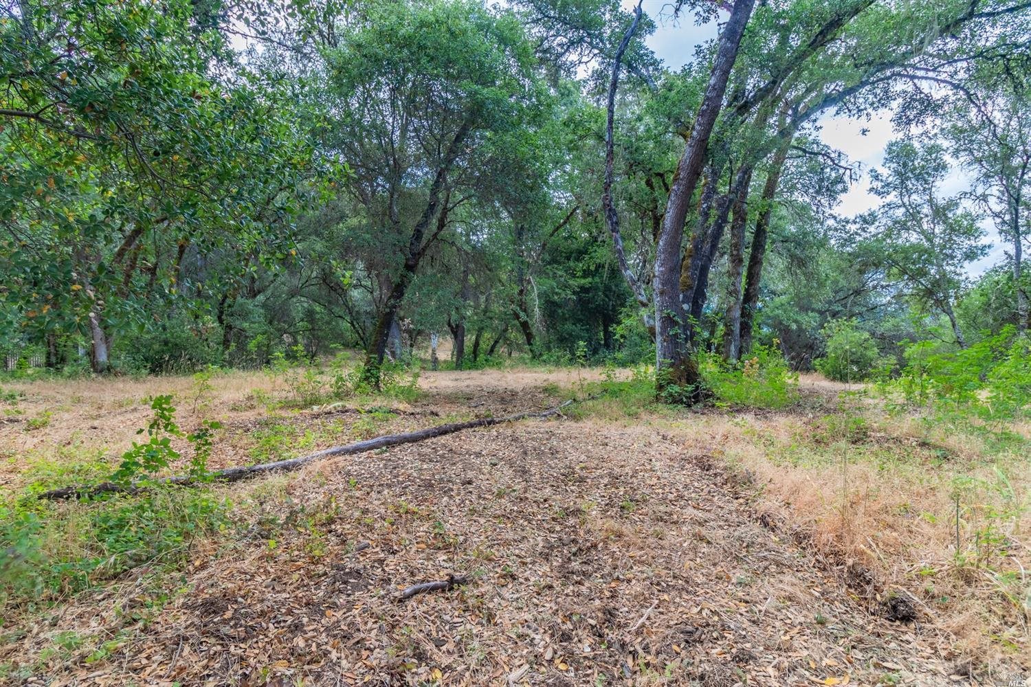 253 Forsythe Drive Redwood Valley CA 95470