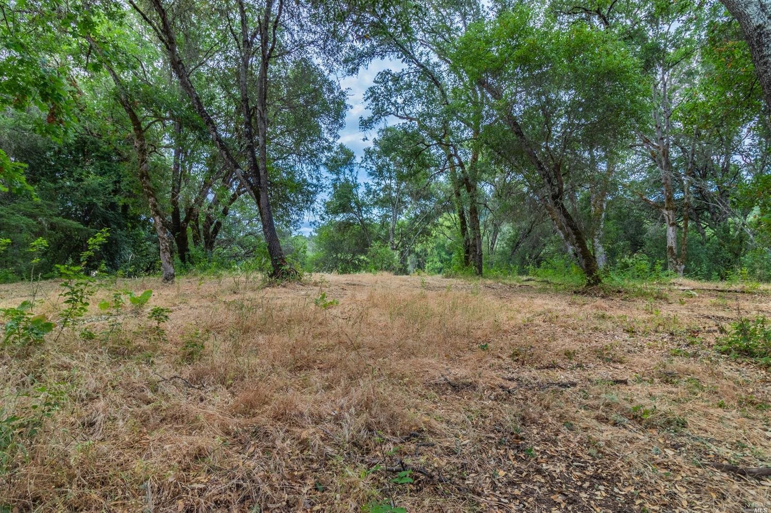 253 Forsythe Drive Redwood Valley CA 95470