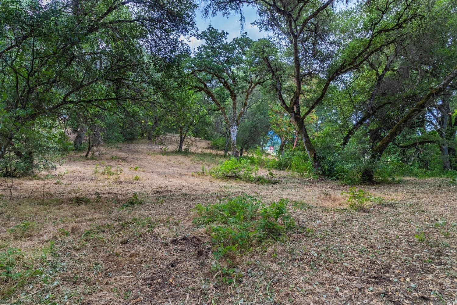 253 Forsythe Drive Redwood Valley CA 95470