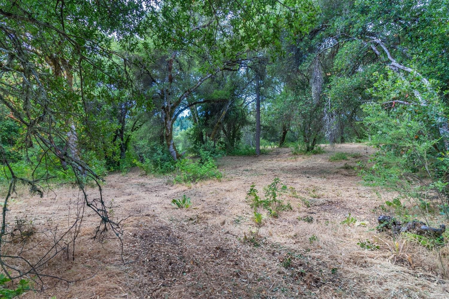 253 Forsythe Drive Redwood Valley CA 95470