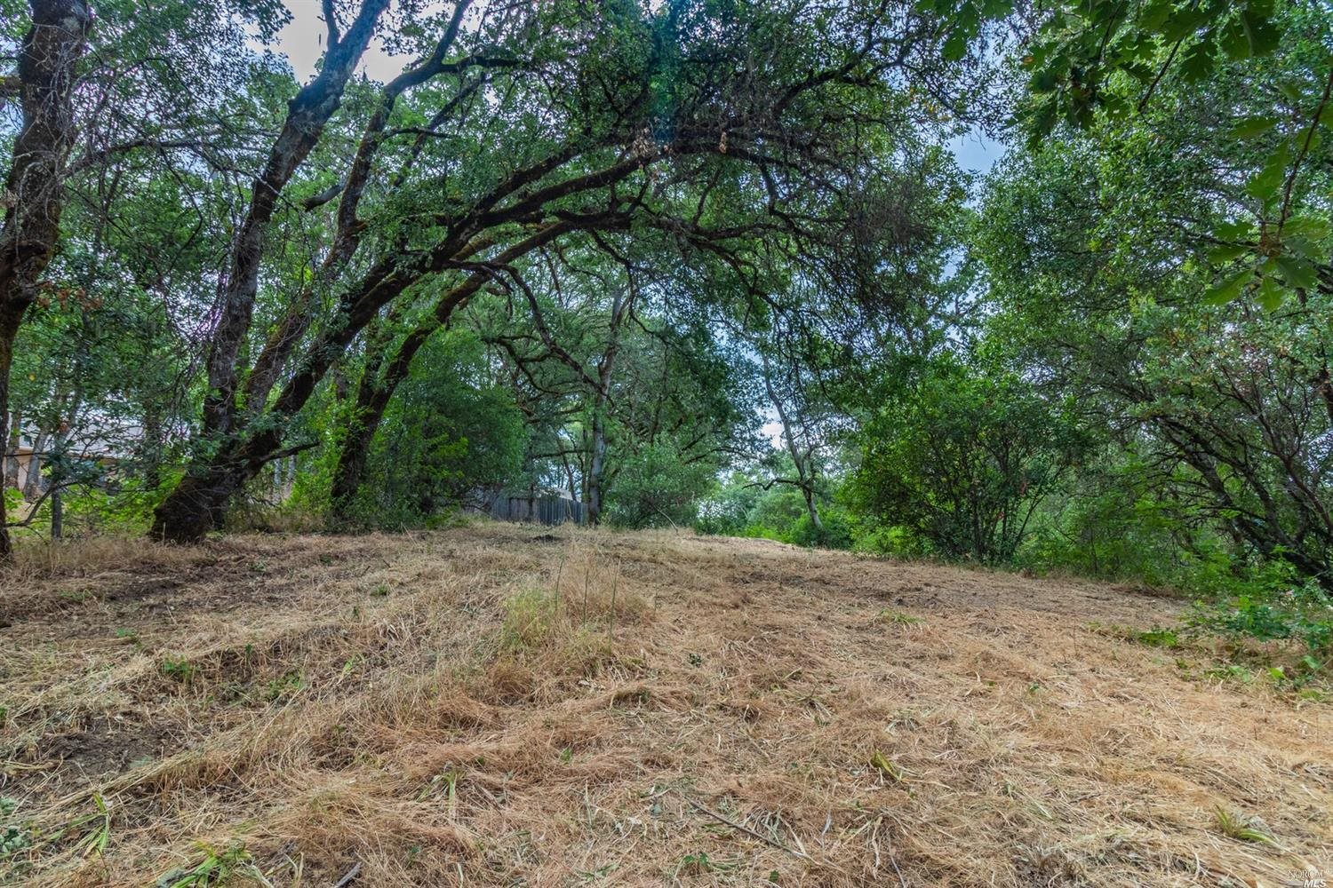 253 Forsythe Drive Redwood Valley CA 95470