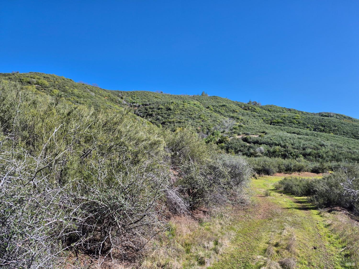 6000 Richards Road Redwood Valley CA 95470