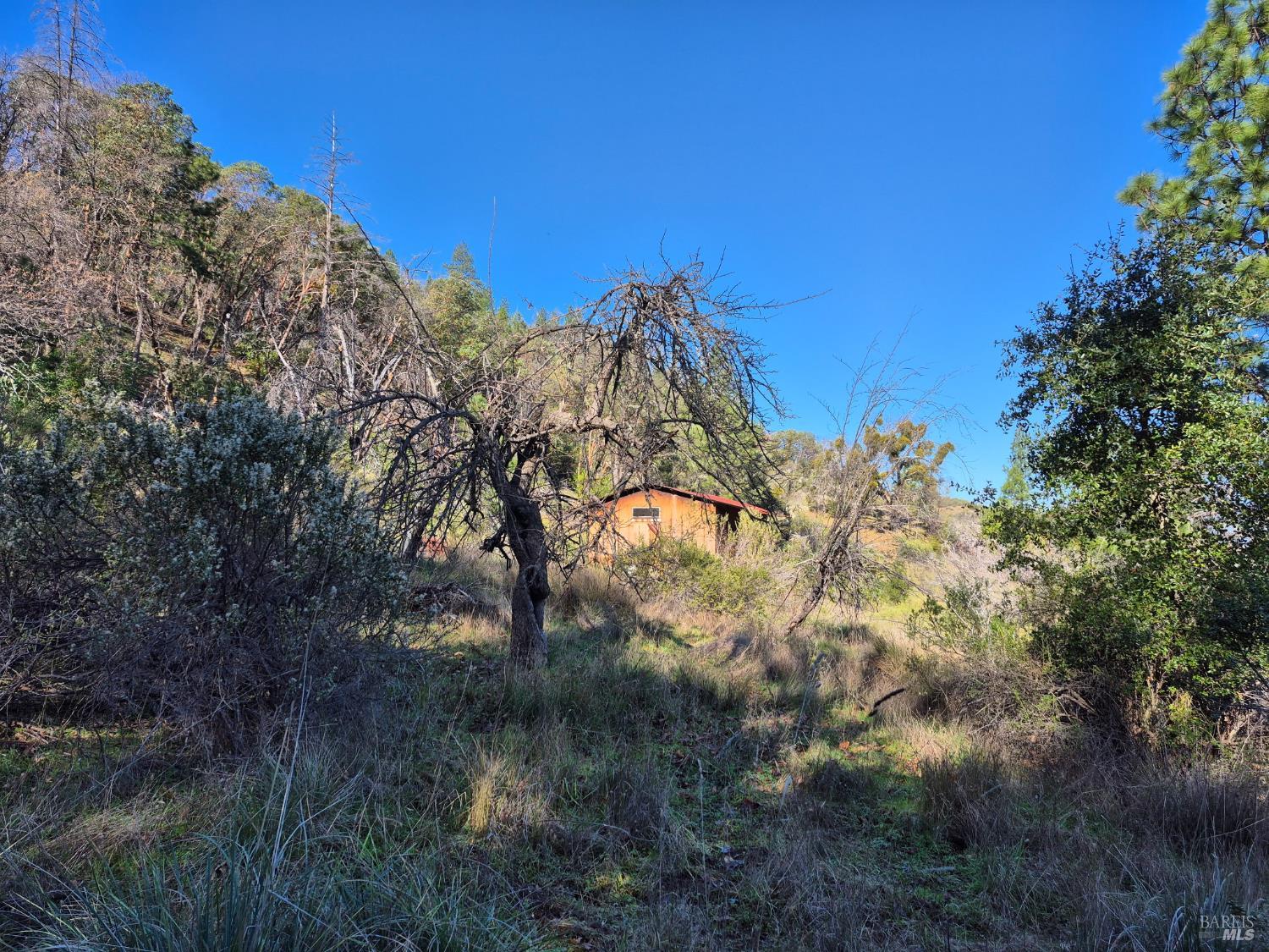 6000 Richards Road Redwood Valley CA 95470