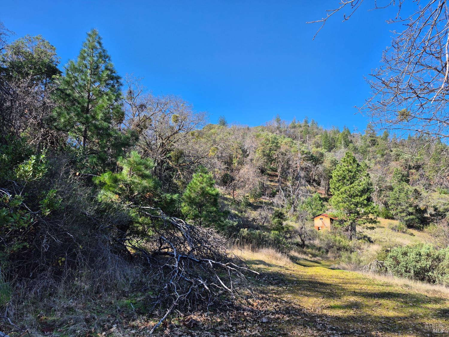 6000 Richards Road Redwood Valley CA 95470