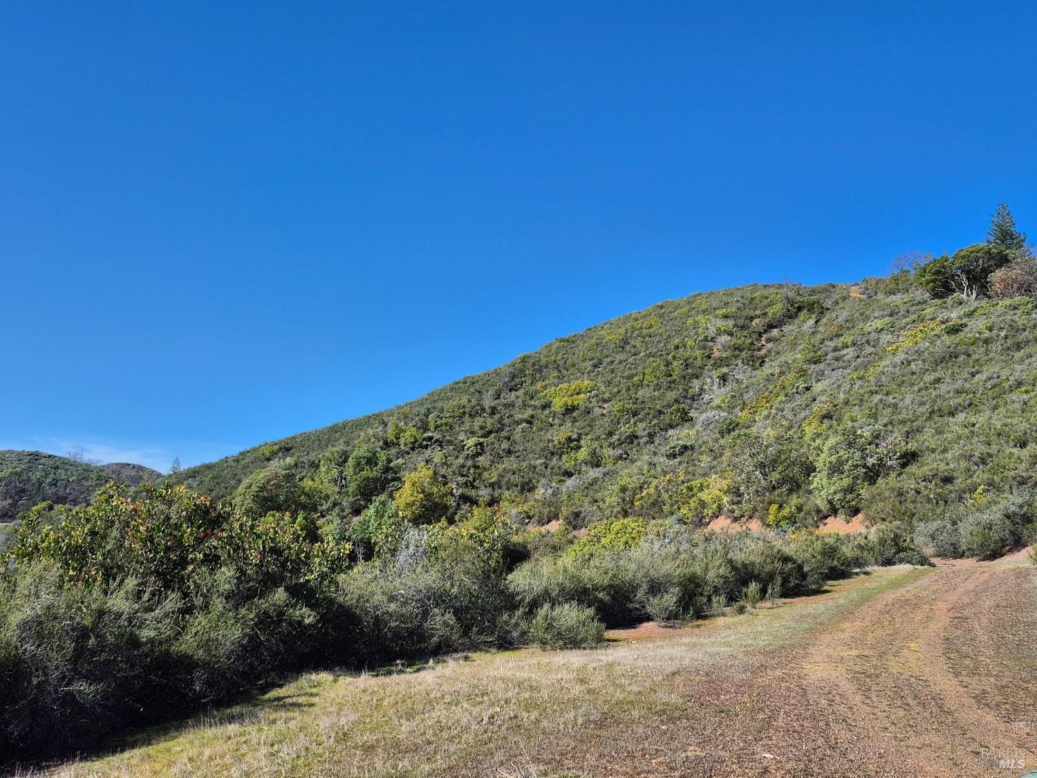 6000 Richards Road Redwood Valley CA 95470