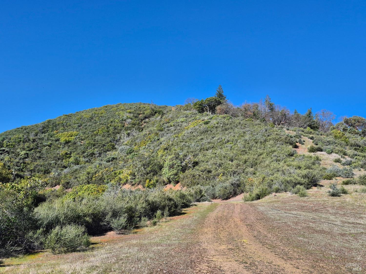 6000 Richards Road Redwood Valley CA 95470