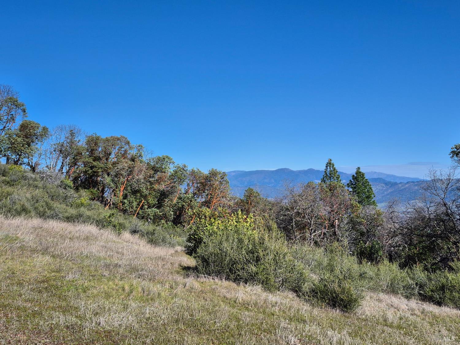6000 Richards Road Redwood Valley CA 95470