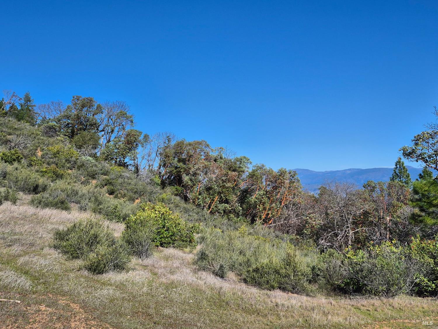 6000 Richards Road Redwood Valley CA 95470