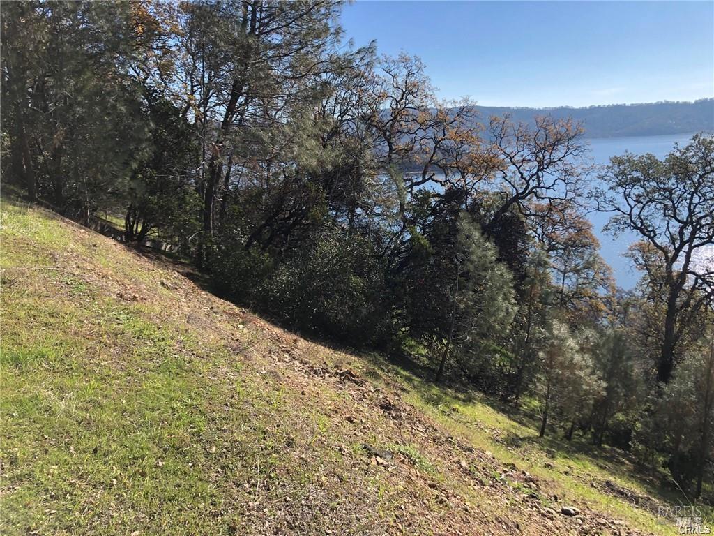 11725 Lakeview Drive Clearlake Oaks CA 95423