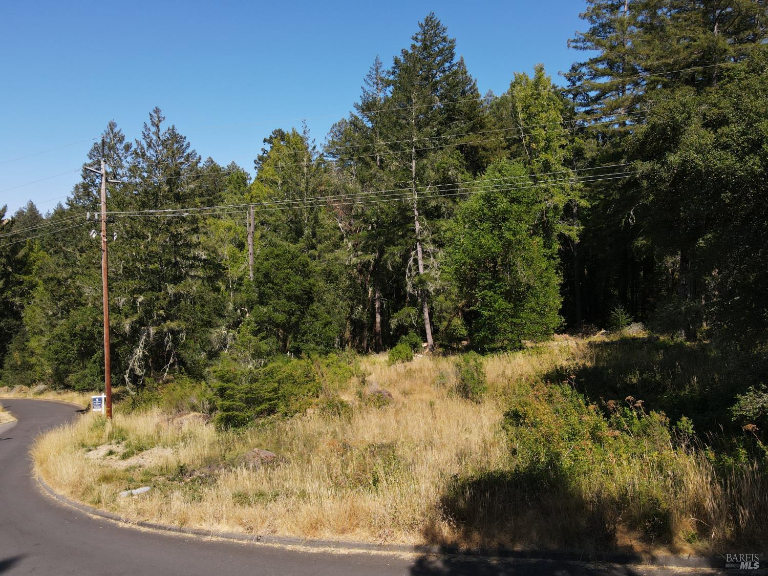 1 Meadow View Lane San Geronimo CA 94963