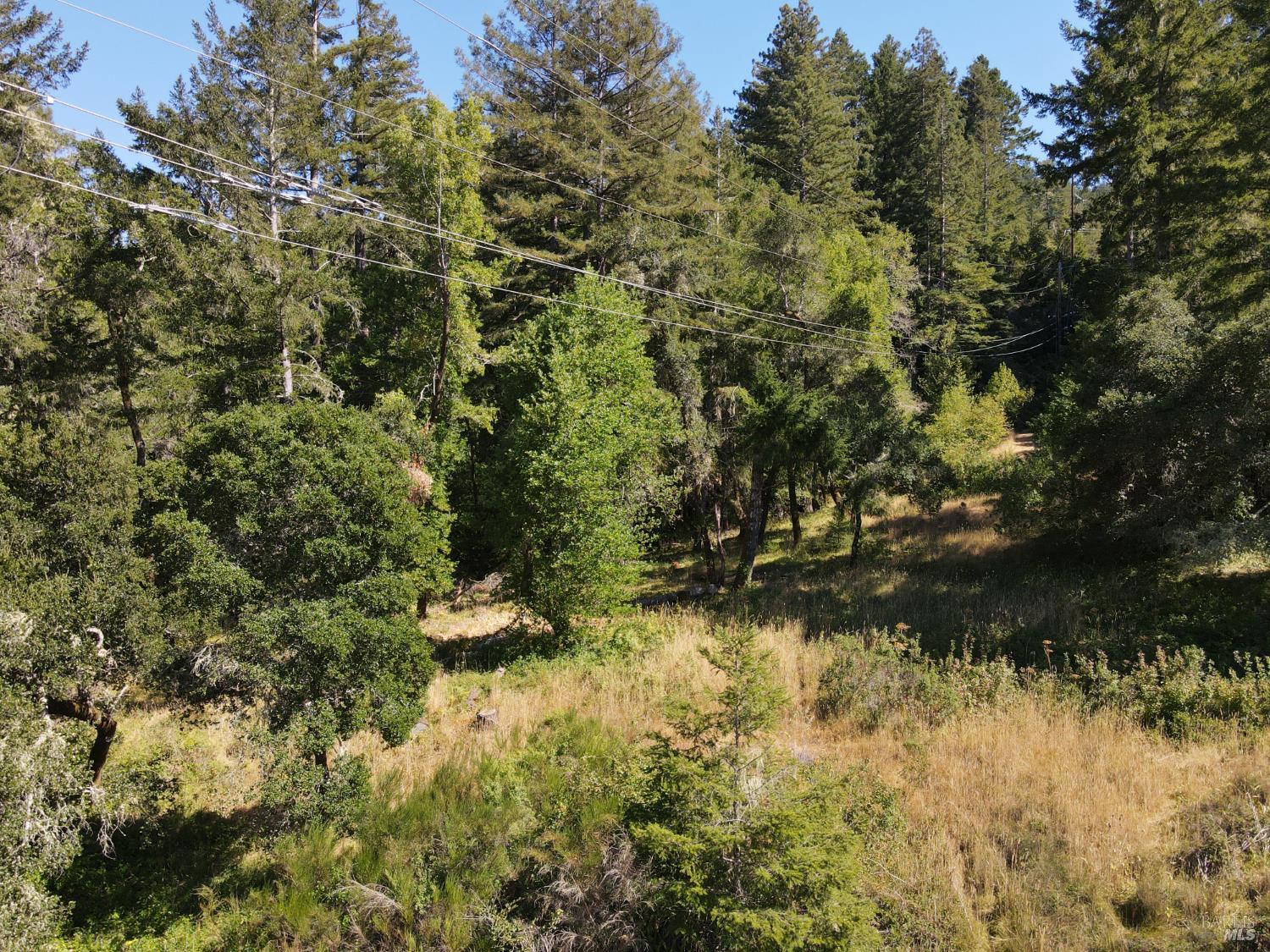 1 Meadow View Lane San Geronimo CA 94963