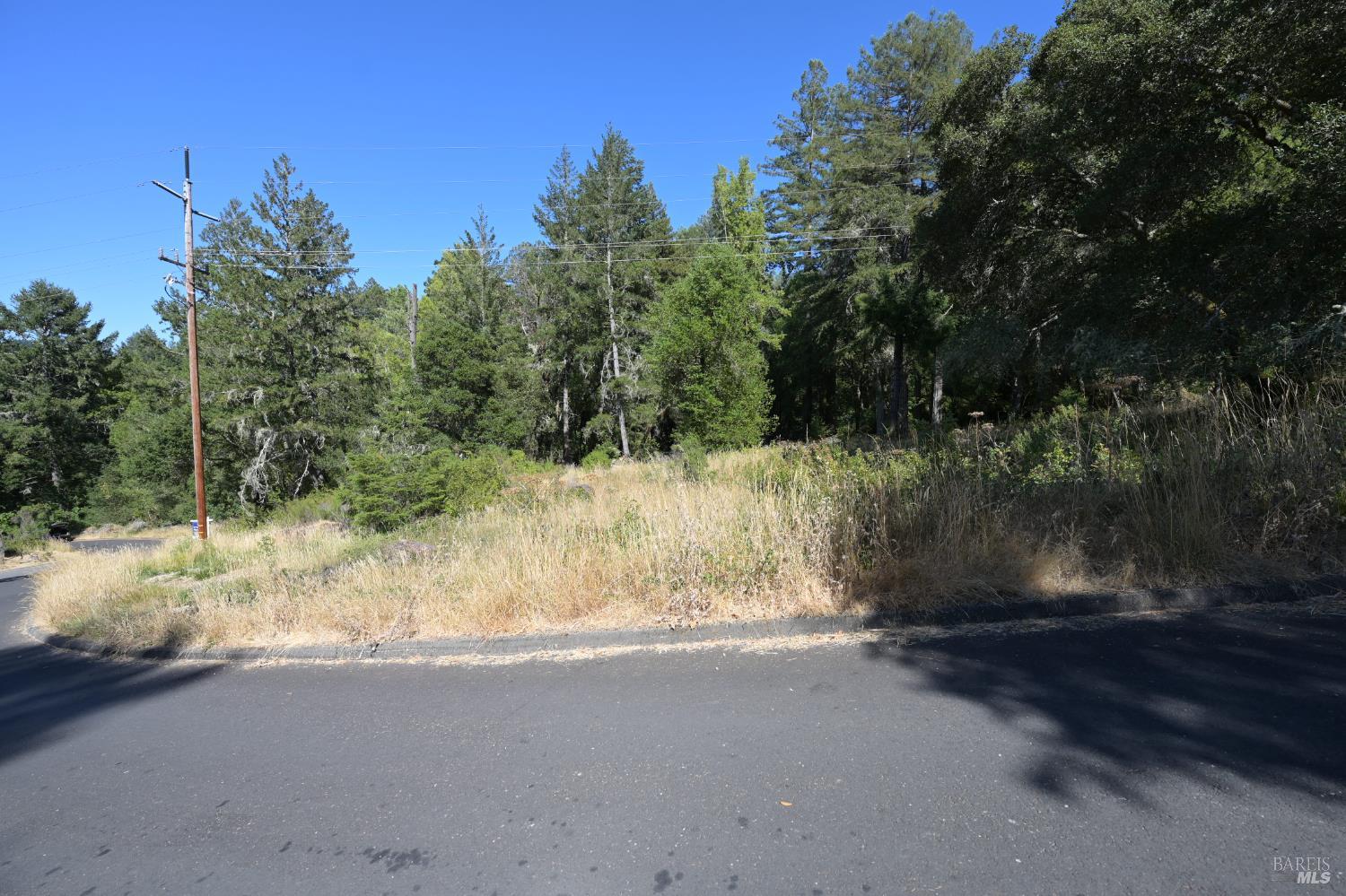 1 Meadow View Lane San Geronimo CA 94963