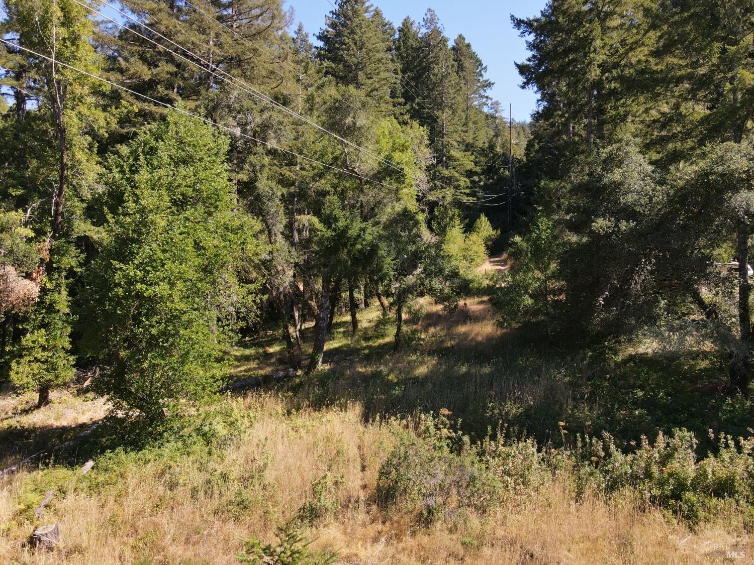 1 Meadow View Lane San Geronimo CA 94963