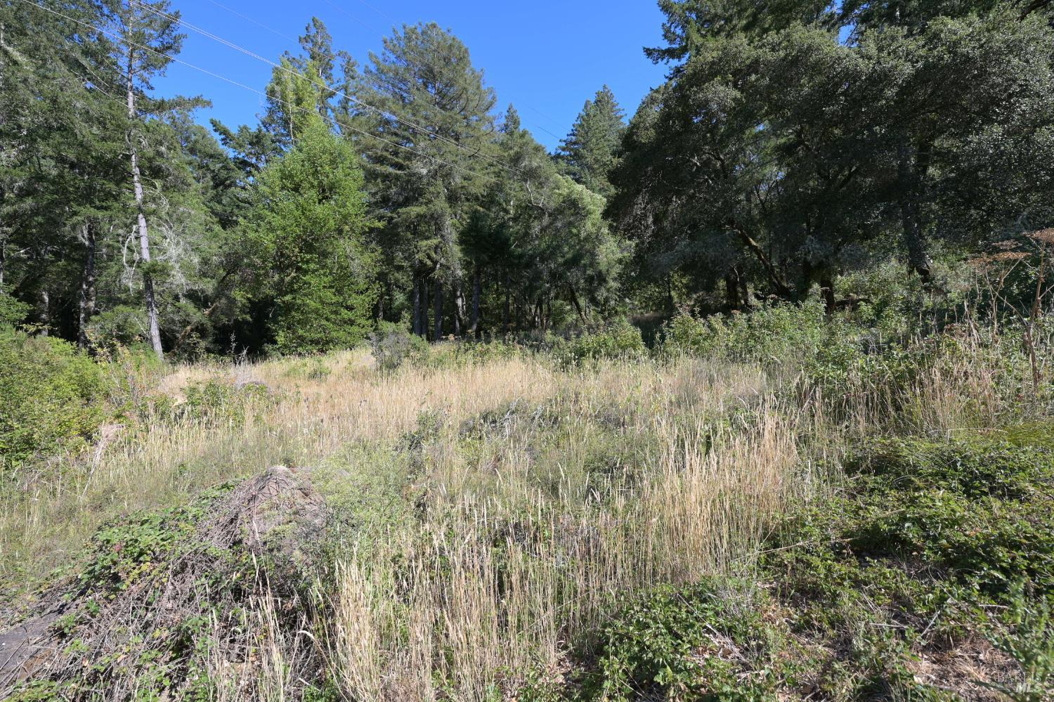 1 Meadow View Lane San Geronimo CA 94963