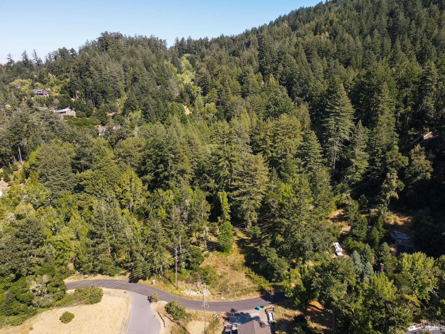 1 Meadow View Lane San Geronimo CA 94963